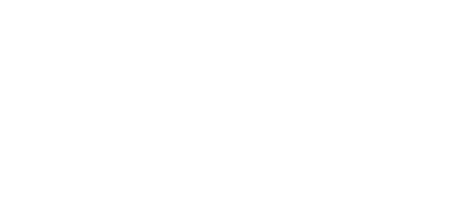 Partner Organization